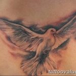 photo tattoo dove 29.11.2018 №105 - example of a tattoo with a dove - tattoovalue.net