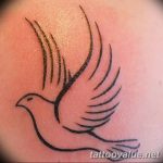 photo tattoo dove 29.11.2018 №106 - example of a tattoo with a dove - tattoovalue.net