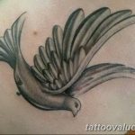 photo tattoo dove 29.11.2018 №108 - example of a tattoo with a dove - tattoovalue.net