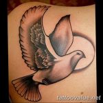 photo tattoo dove 29.11.2018 №110 - example of a tattoo with a dove - tattoovalue.net