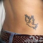 photo tattoo dove 29.11.2018 №119 - example of a tattoo with a dove - tattoovalue.net