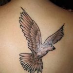 photo tattoo dove 29.11.2018 №125 - example of a tattoo with a dove - tattoovalue.net