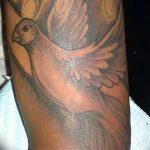 photo tattoo dove 29.11.2018 №133 - example of a tattoo with a dove - tattoovalue.net