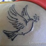 photo tattoo dove 29.11.2018 №146 - example of a tattoo with a dove - tattoovalue.net