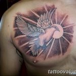 photo tattoo dove 29.11.2018 №148 - example of a tattoo with a dove - tattoovalue.net