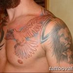 photo tattoo dove 29.11.2018 №151 - example of a tattoo with a dove - tattoovalue.net