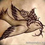 photo tattoo dove 29.11.2018 №154 - example of a tattoo with a dove - tattoovalue.net