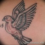 photo tattoo dove 29.11.2018 №159 - example of a tattoo with a dove - tattoovalue.net