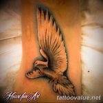 photo tattoo dove 29.11.2018 №160 - example of a tattoo with a dove - tattoovalue.net