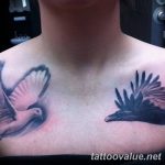 photo tattoo dove 29.11.2018 №167 - example of a tattoo with a dove - tattoovalue.net