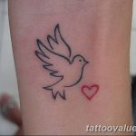 photo tattoo dove 29.11.2018 №172 - example of a tattoo with a dove - tattoovalue.net