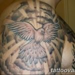 photo tattoo dove 29.11.2018 №174 - example of a tattoo with a dove - tattoovalue.net