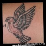 photo tattoo dove 29.11.2018 №180 - example of a tattoo with a dove - tattoovalue.net