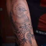photo tattoo dove 29.11.2018 №181 - example of a tattoo with a dove - tattoovalue.net