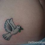 photo tattoo dove 29.11.2018 №182 - example of a tattoo with a dove - tattoovalue.net