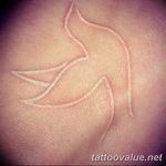 photo tattoo dove 29.11.2018 №192 - example of a tattoo with a dove - tattoovalue.net