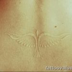 photo tattoo dove 29.11.2018 №193 - example of a tattoo with a dove - tattoovalue.net