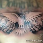 photo tattoo dove 29.11.2018 №204 - example of a tattoo with a dove - tattoovalue.net