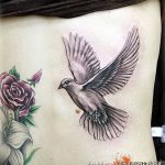 photo tattoo dove 29.11.2018 №207 - example of a tattoo with a dove - tattoovalue.net