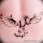 photo tattoo dove 29.11.2018 №211 - example of a tattoo with a dove - tattoovalue.net