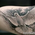 photo tattoo dove 29.11.2018 №215 - example of a tattoo with a dove - tattoovalue.net