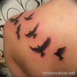 photo tattoo dove 29.11.2018 №216 - example of a tattoo with a dove - tattoovalue.net