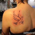 photo tattoo dove 29.11.2018 №219 - example of a tattoo with a dove - tattoovalue.net