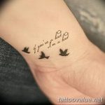 photo tattoo dove 29.11.2018 №220 - example of a tattoo with a dove - tattoovalue.net