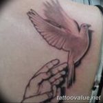 photo tattoo dove 29.11.2018 №222 - example of a tattoo with a dove - tattoovalue.net