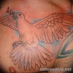 photo tattoo dove 29.11.2018 №227 - example of a tattoo with a dove - tattoovalue.net