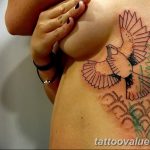 photo tattoo dove 29.11.2018 №229 - example of a tattoo with a dove - tattoovalue.net