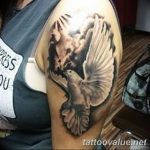 photo tattoo dove 29.11.2018 №238 - example of a tattoo with a dove - tattoovalue.net