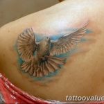 photo tattoo dove 29.11.2018 №244 - example of a tattoo with a dove - tattoovalue.net