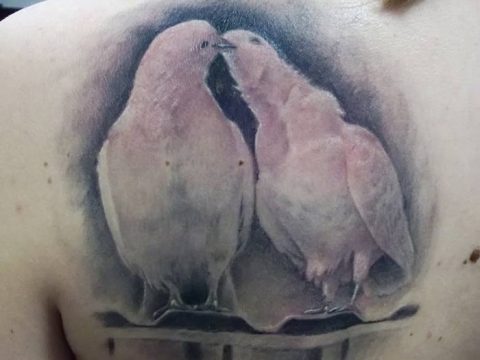 photo tattoo dove 29.11.2018 №249 - example of a tattoo with a dove - tattoovalue.net
