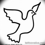 photo tattoo dove 29.11.2018 №251 - example of a tattoo with a dove - tattoovalue.net
