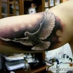 photo tattoo dove 29.11.2018 №255 - example of a tattoo with a dove - tattoovalue.net