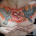 photo tattoo dove 29.11.2018 №256 - example of a tattoo with a dove - tattoovalue.net