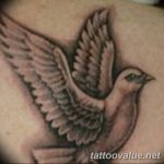 photo tattoo dove 29.11.2018 №257 - example of a tattoo with a dove - tattoovalue.net