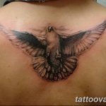 photo tattoo dove 29.11.2018 №260 - example of a tattoo with a dove - tattoovalue.net