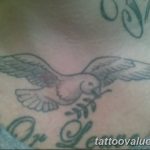 photo tattoo dove 29.11.2018 №261 - example of a tattoo with a dove - tattoovalue.net
