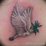 photo tattoo dove 29.11.2018 №262 - example of a tattoo with a dove - tattoovalue.net