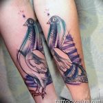 photo tattoo dove 29.11.2018 №263 - example of a tattoo with a dove - tattoovalue.net