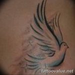 photo tattoo dove 29.11.2018 №264 - example of a tattoo with a dove - tattoovalue.net