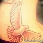 photo tattoo dove 29.11.2018 №266 - example of a tattoo with a dove - tattoovalue.net
