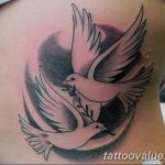 photo tattoo dove 29.11.2018 №272 - example of a tattoo with a dove - tattoovalue.net