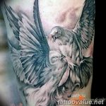 photo tattoo dove 29.11.2018 №273 - example of a tattoo with a dove - tattoovalue.net