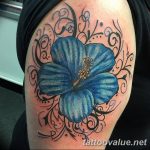 photo tattoo hibiscus 29.11.2018 №118 - flower hibiscus tattoo drawing - tattoovalue.net