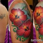 photo tattoo hibiscus 29.11.2018 №144 - flower hibiscus tattoo drawing - tattoovalue.net