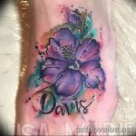 photo tattoo hibiscus 29.11.2018 №002 - flower hibiscus tattoo drawing - tattoovalue.net