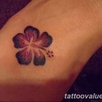 photo tattoo hibiscus 29.11.2018 №003 - flower hibiscus tattoo drawing - tattoovalue.net